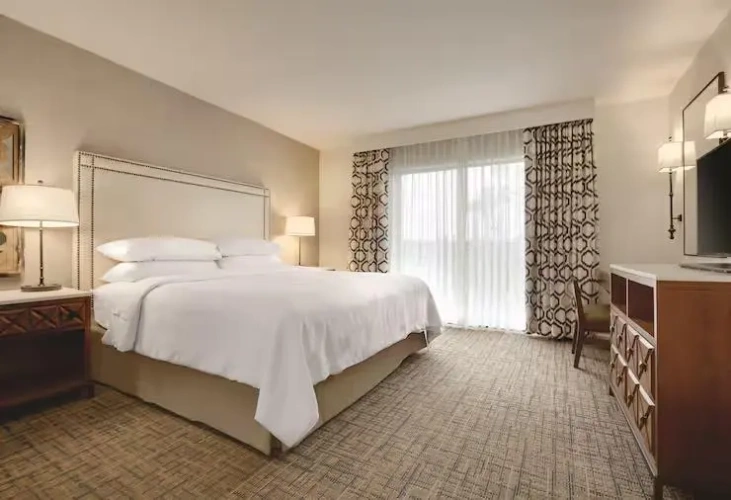 1 Bedroom Deluxe Suite