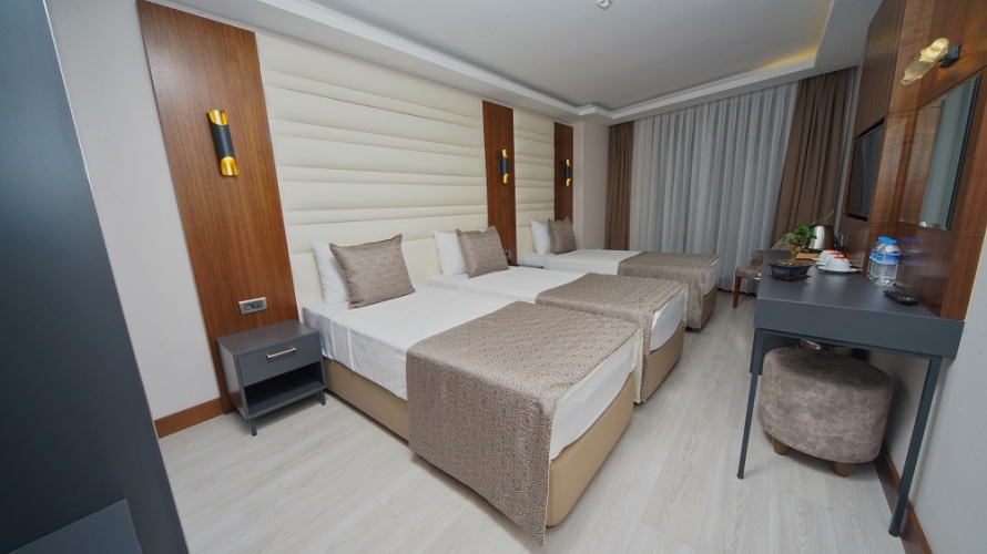 Standard Triple room