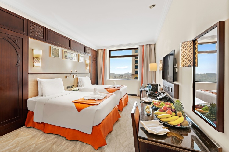 Classic Twin room with city view