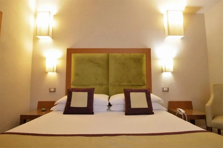 Basic Double room