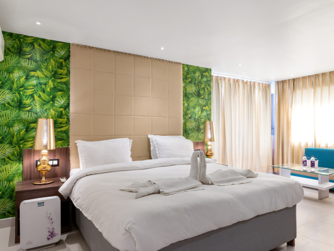 Premium Classic Double room with balcony