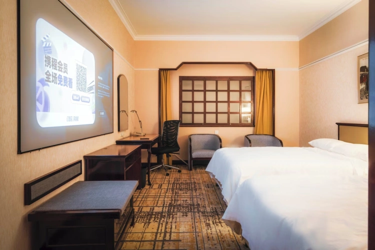 Standard Movie Twin room