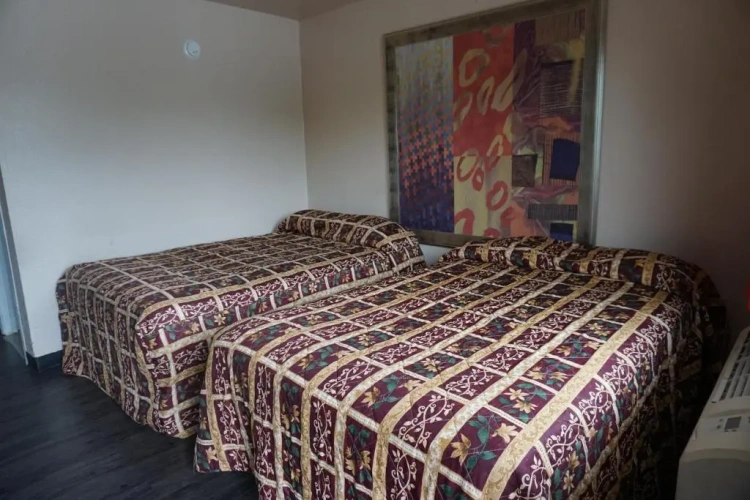 1 Room Twin Suite
