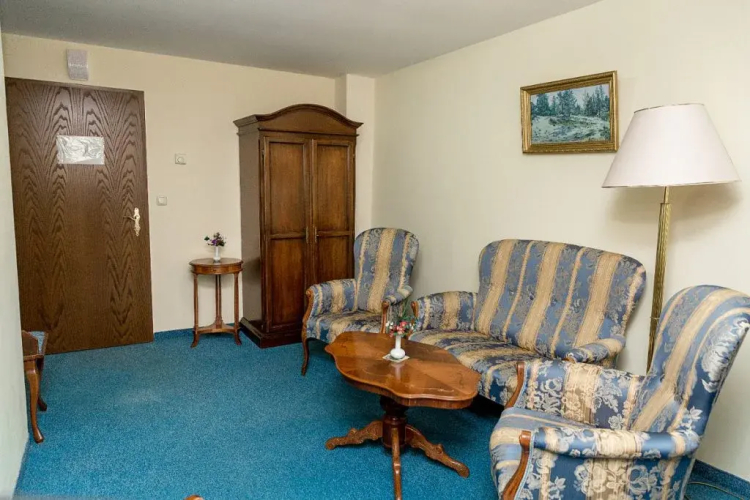 Фотография номера гостиницы Лебедь