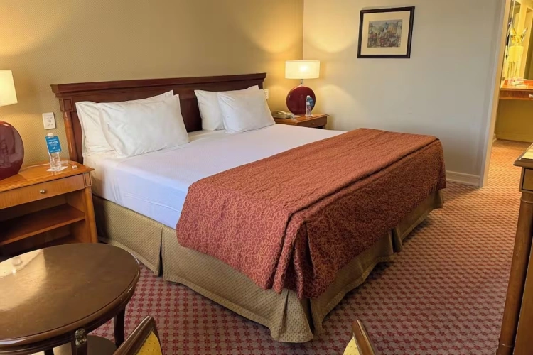 Austral Plaza Double Suite