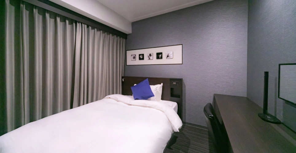 West Wing Deluxe Single room