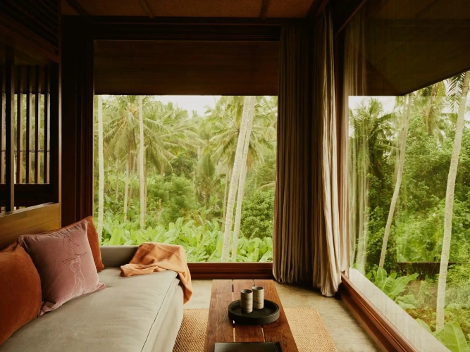 Jungle Double Panorama Suite