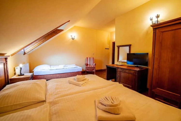 Basic Triple room