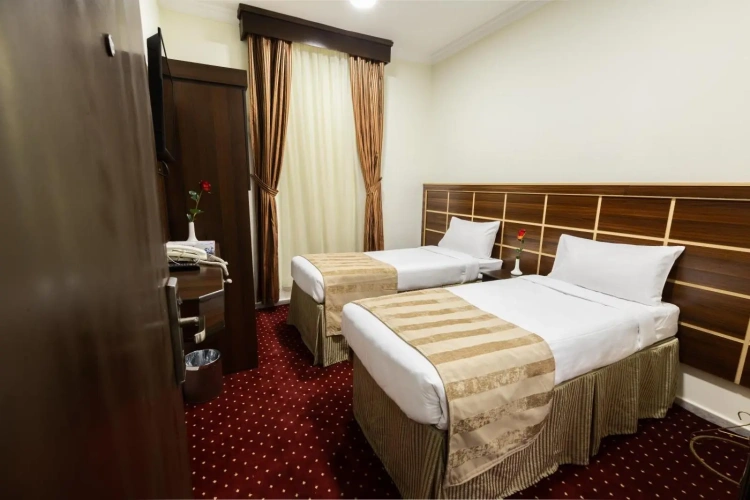 Deluxe Twin room