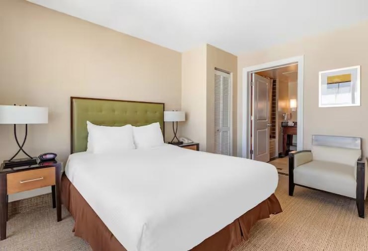 1 Bedroom Double Suite with city view