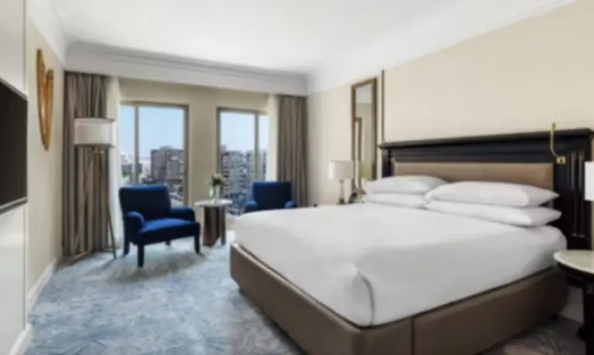Diplomatic Ergonomic Flex Space Double Suite