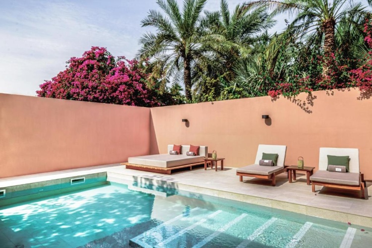Melia Desert Palm Member Of Melia Collection photo 9