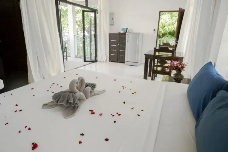 Double Apartment