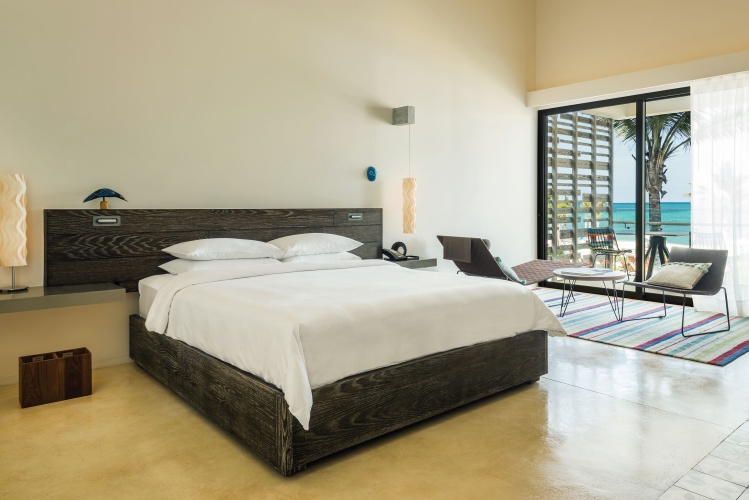 Double Ada Andaz Suite with bay view
