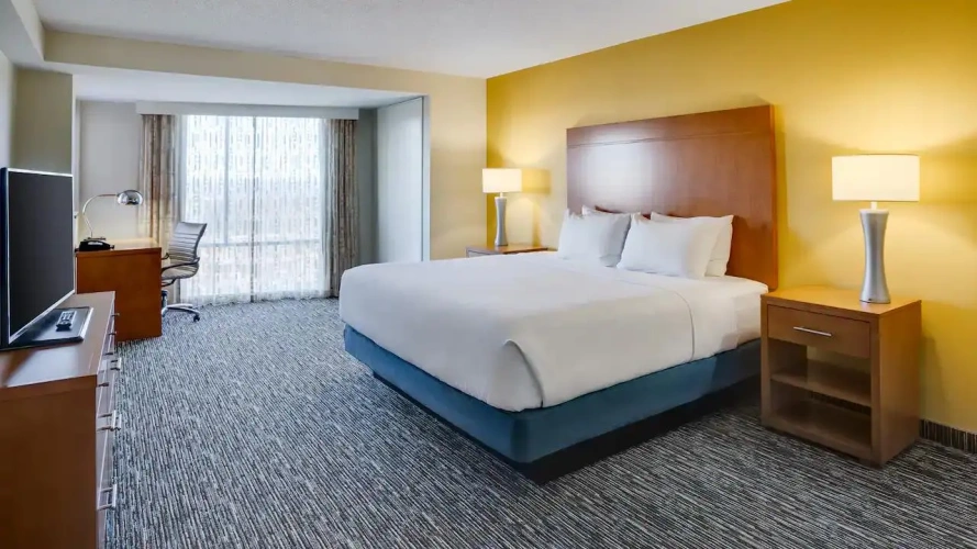 1 Bedroom Suite