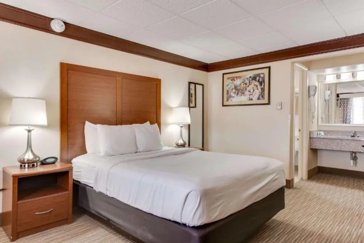 Pet Friendly Double room
