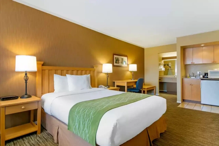 Double room