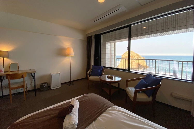 Luxurious Twin room