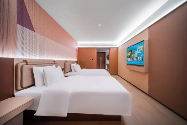 Executive Twin room