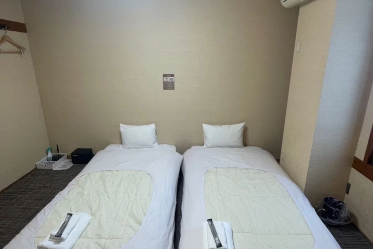 Basic Twin room