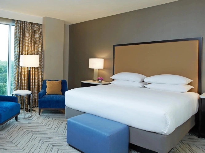 Deluxe Double Suite