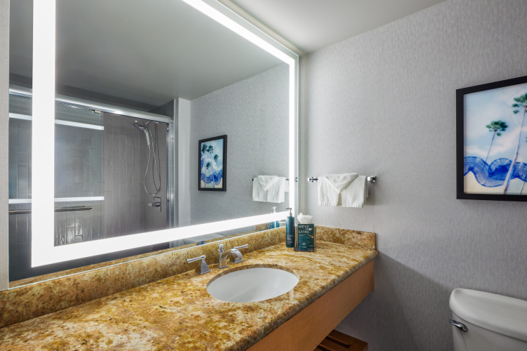 Hotel Fera Anaheim, a DoubleTree by Hilton photo 15