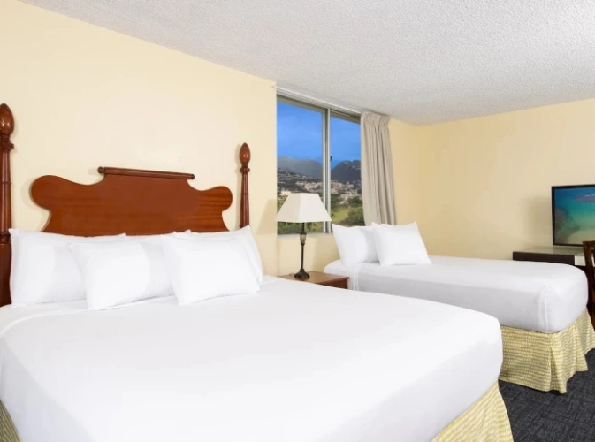 Suite with city view