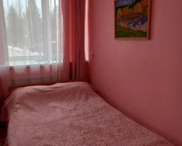 Фотография номера гостиницы Камелия