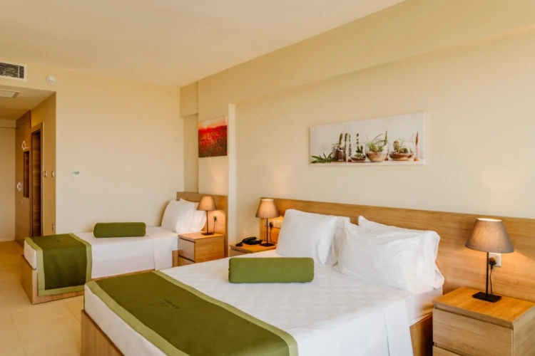 Triple room with land view