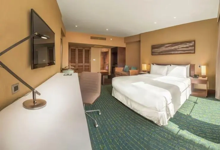 Deluxe Double room
