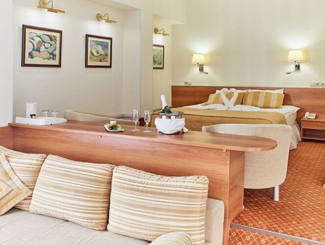 Фотография номера гостиницы Раздолье