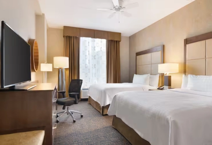 Twin Studio Suite
