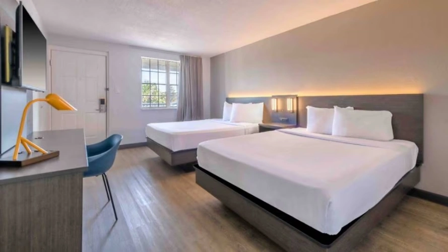 Twin Suite