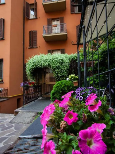 Astor photo 37