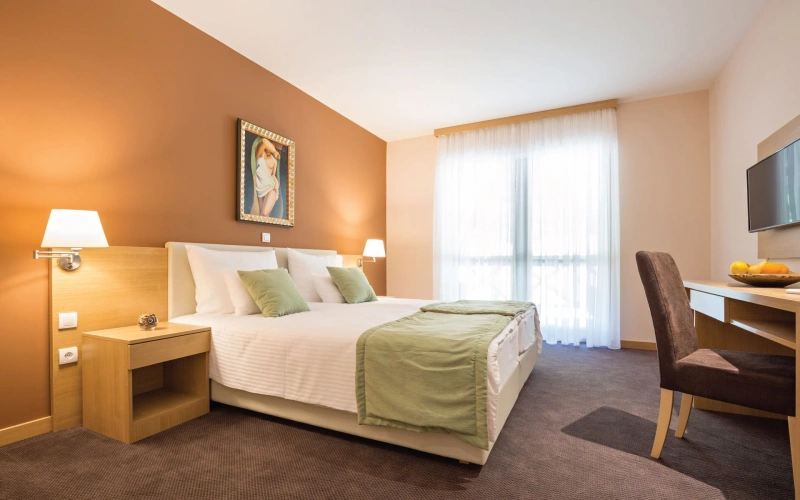 Premium Double room