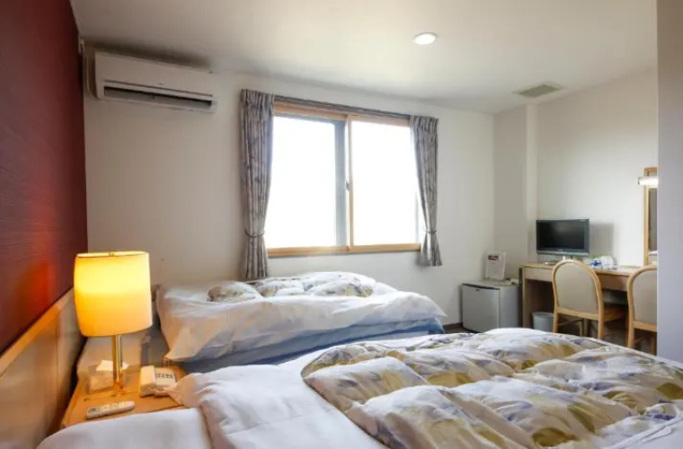 Standard Twin room with view