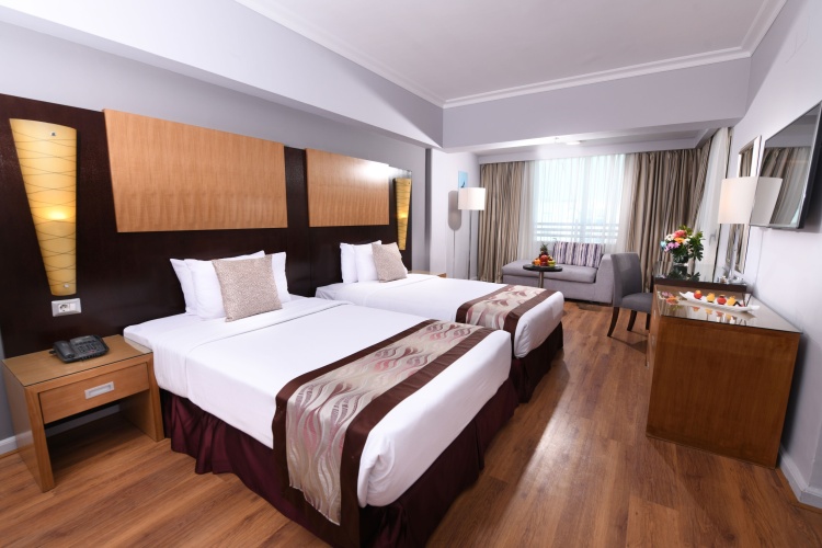 Deluxe Twin room