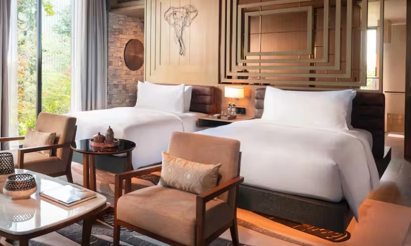 Premium Twin Suite