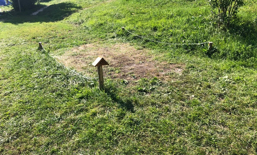 Tent Pitch