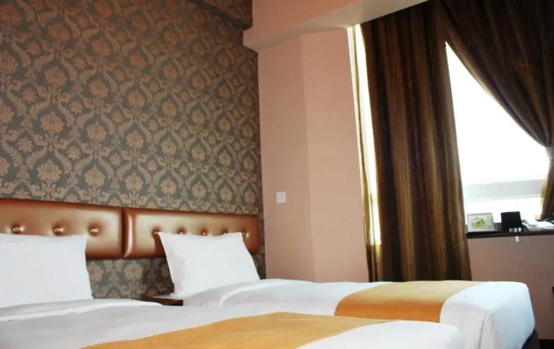 Deluxe Twin room with city view