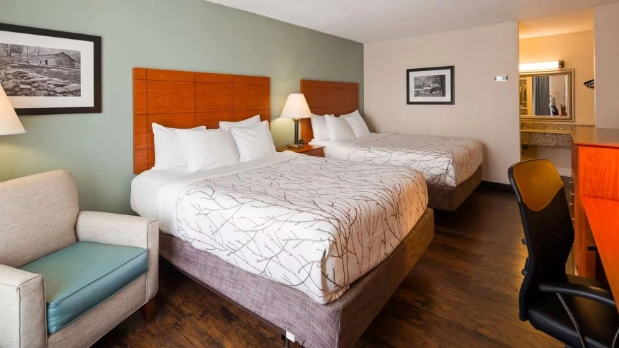 Pet Friendly Twin room