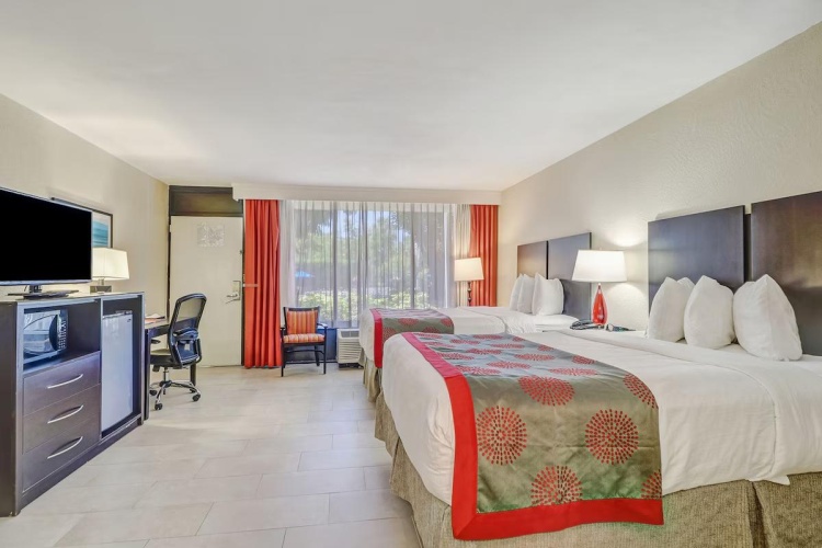 Accessible Twin room