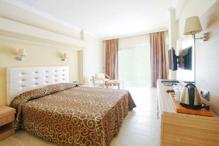 Standard Double room with land view