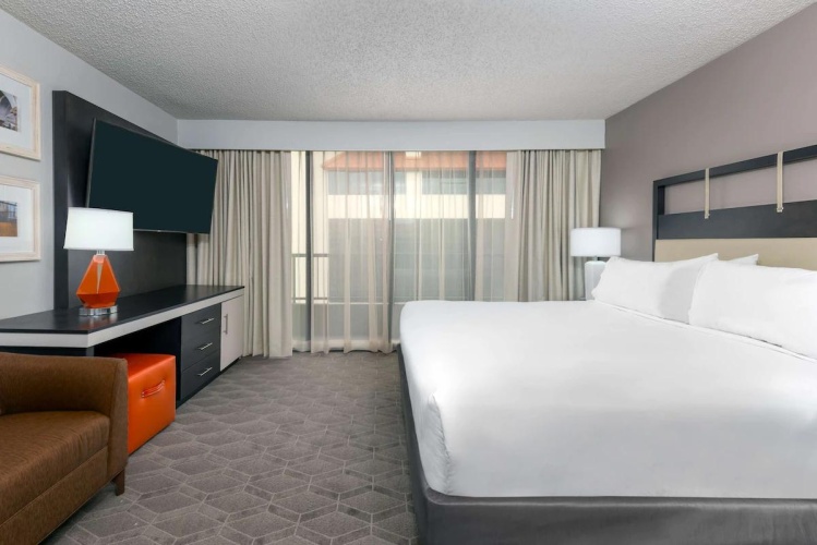 Mobility/Hearing Accessible Premium Double Suite