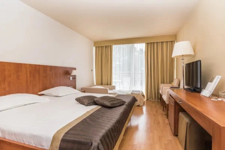 Classic Double room with balcony and with park view
