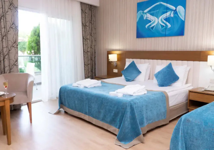 Standard Triple room with land view