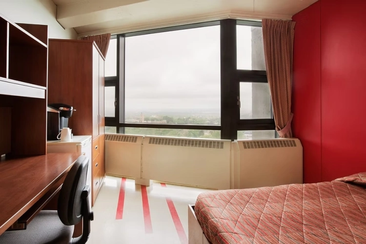 Cozy Double Suite