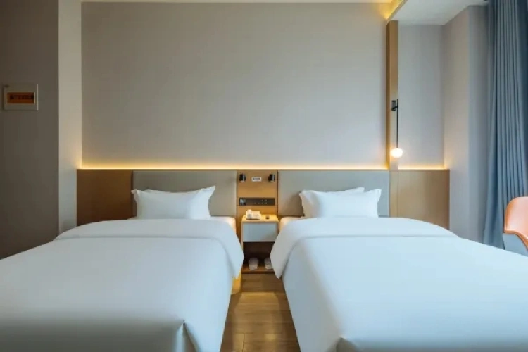 Elegant Twin room