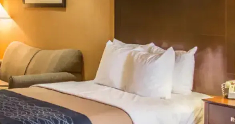 1 Room Top Floor Twin Suite