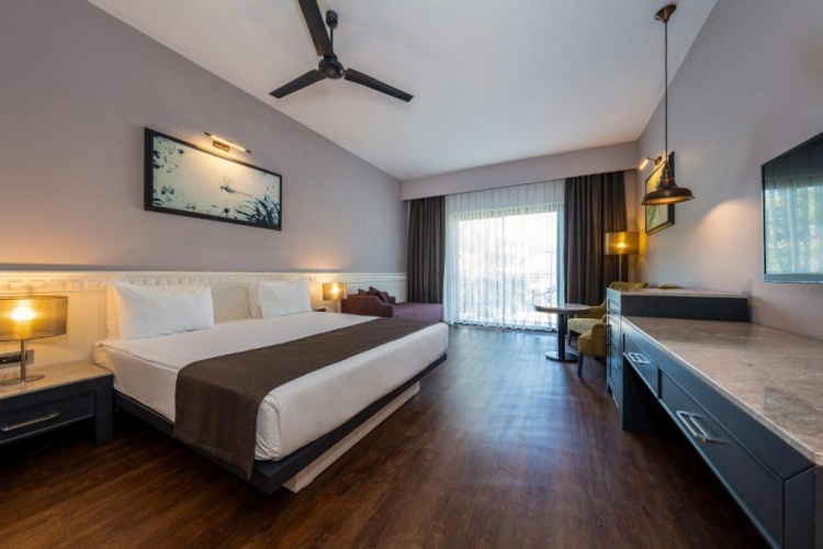 Standard Double room with land view